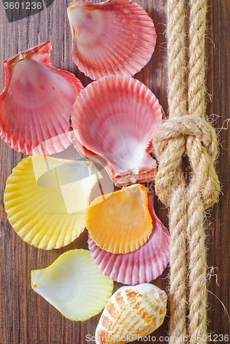 Image of sea shells and rope