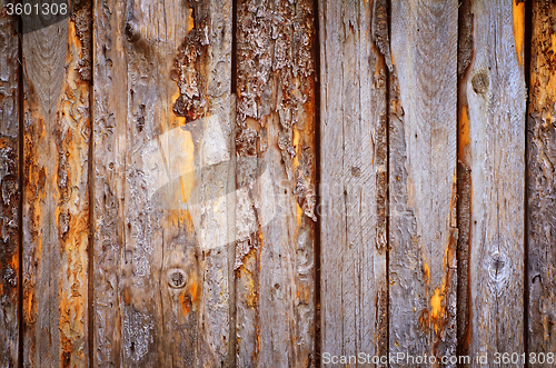 Image of wooden background