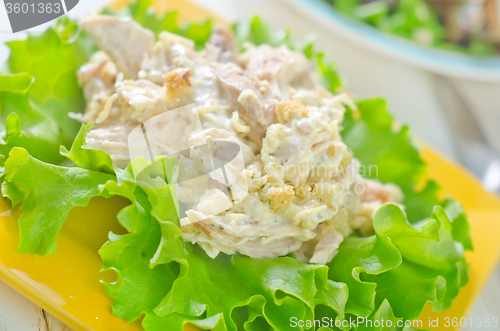 Image of fresh salad on plate