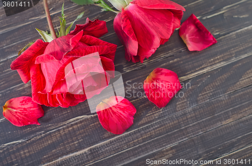 Image of rose on wooden background