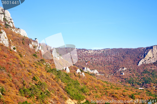 Image of autumn landscape