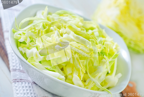 Image of cabbage