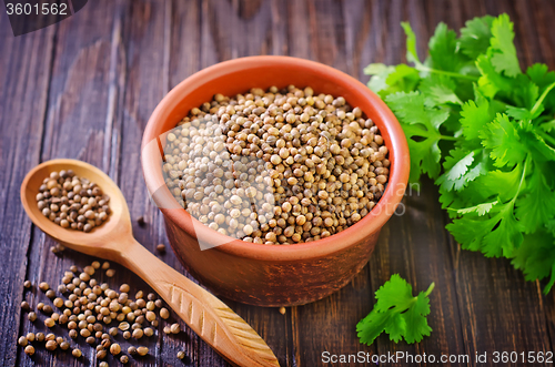 Image of coriander