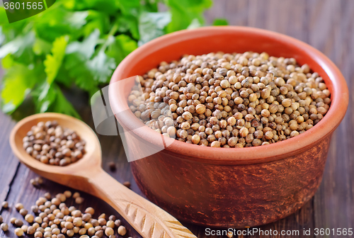 Image of coriander