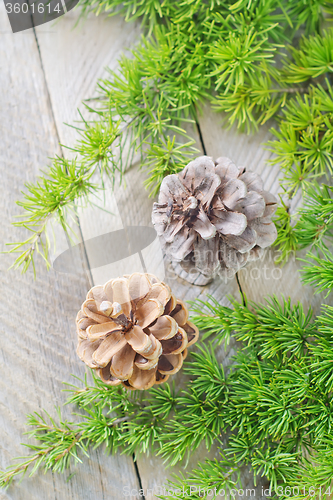 Image of pinecones