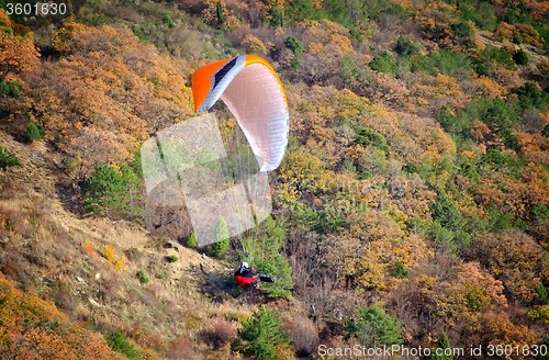 Image of paraglider