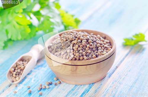 Image of coriander