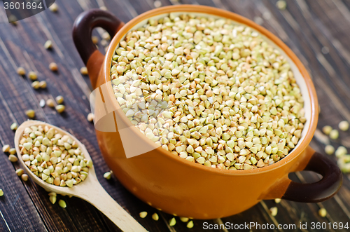 Image of green buckwheat