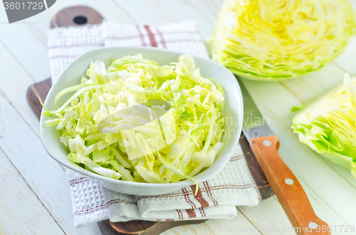 Image of cabbage