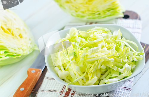 Image of cabbage