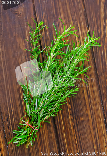 Image of rosemary