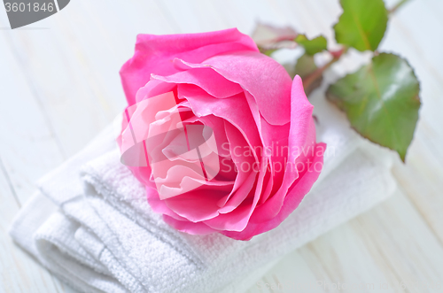 Image of rose and towels