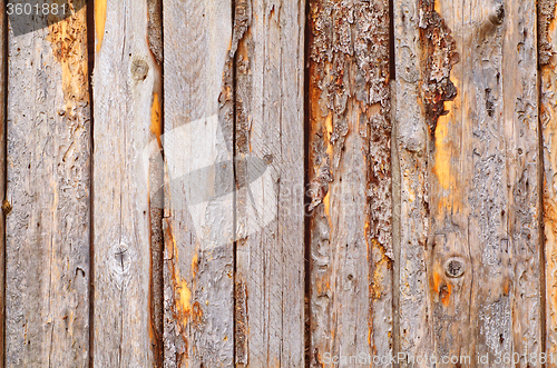 Image of wooden background