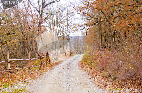 Image of nature in crimea