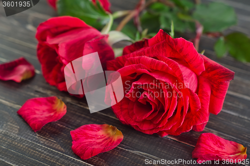 Image of rose on wooden background