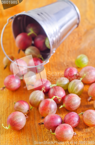Image of gooseberry