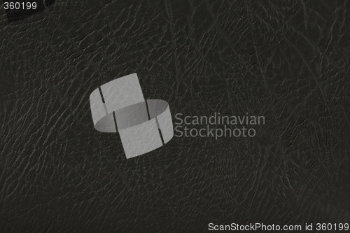 Image of Black Leather