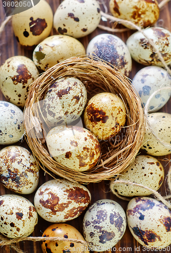 Image of quail eggs