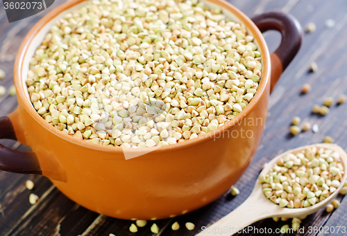 Image of green buckwheat