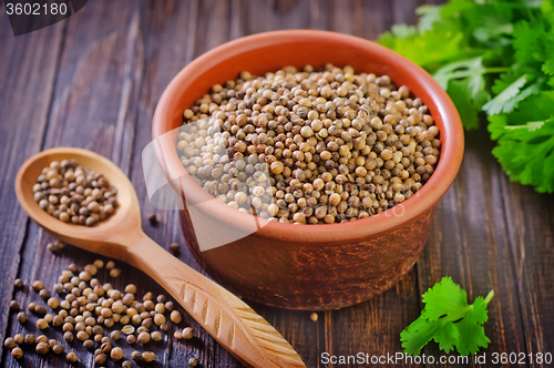 Image of coriander