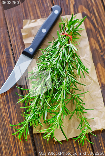 Image of rosemary