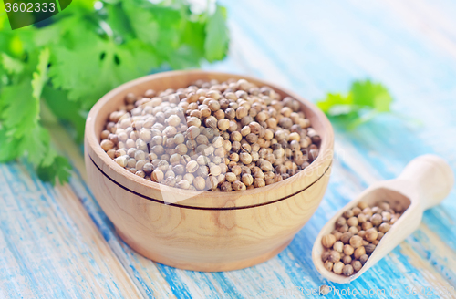 Image of coriander