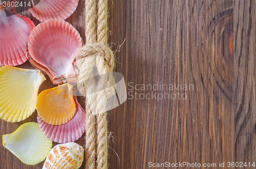 Image of sea shells and rope