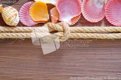 Image of sea shells and rope