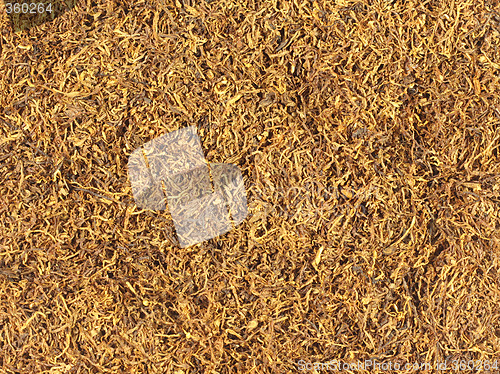 Image of Tobacco Texture