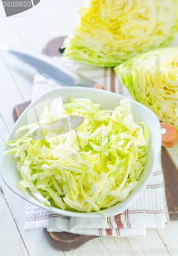 Image of cabbage