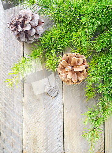 Image of pinecones