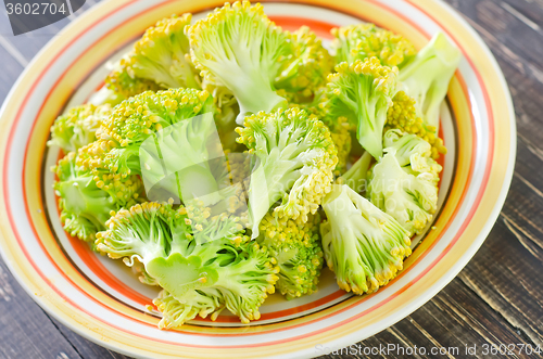 Image of broccoli on plate