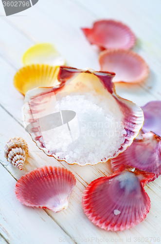 Image of sea salt and shells