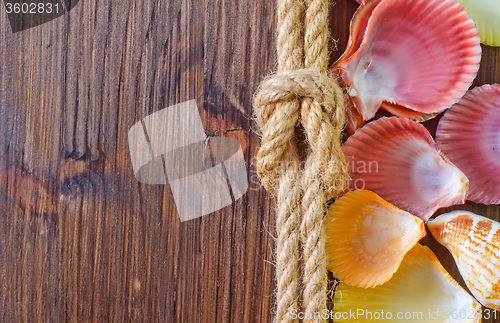 Image of sea shells and rope