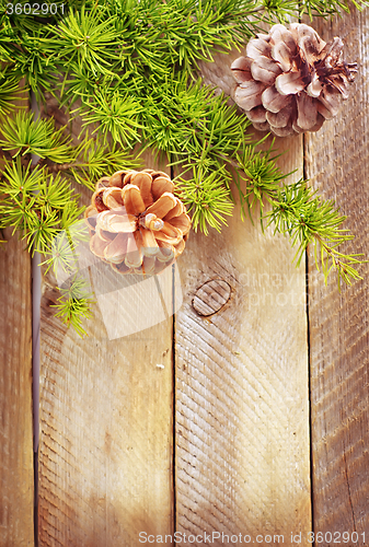 Image of pinecones