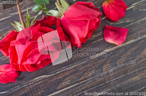 Image of rose on wooden background