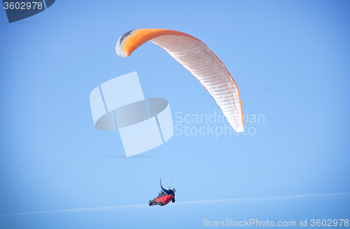 Image of paraglider