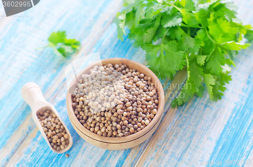 Image of coriander