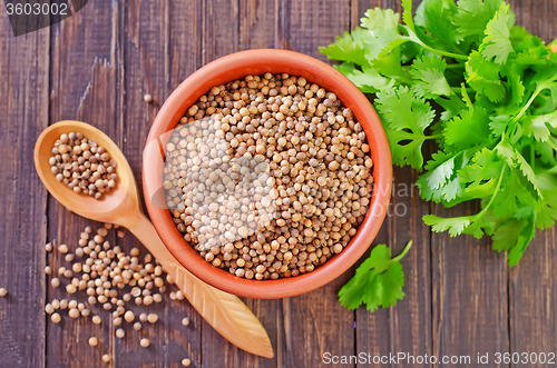 Image of coriander