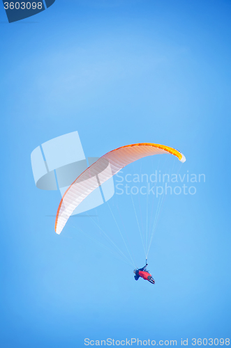 Image of paraglider