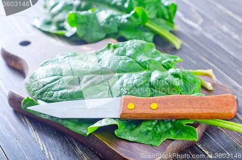 Image of spinach on board