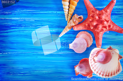 Image of sea shells on blue board