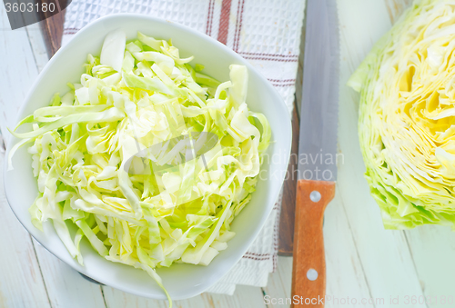 Image of cabbage