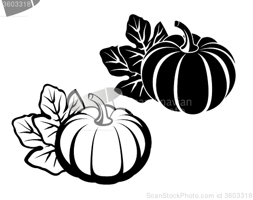 Image of Pumpkins with leaves. Vector black silhouette.