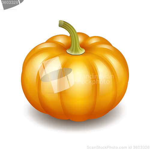 Image of Orange autumn pumpkin icon