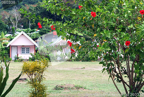 Image of Houses