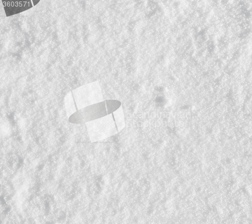 Image of fresh snow