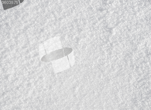 Image of fresh snow