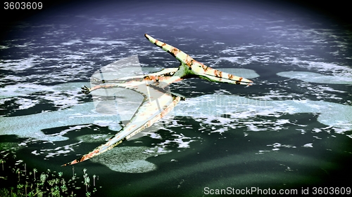 Image of Huge pterodactyl over land