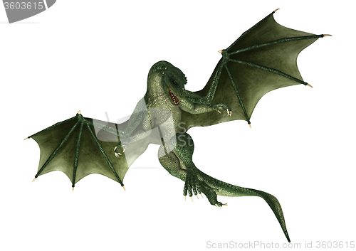 Image of Fantasy Dragon
